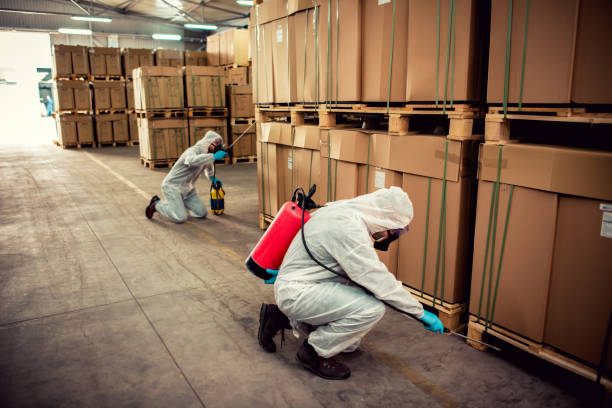 Best Wasp Removal Services  in Appleton City, MO