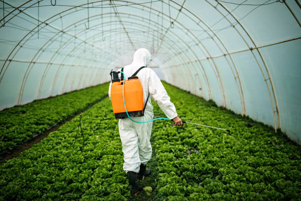 Reliable Appleton City, MO Pest Control Solutions