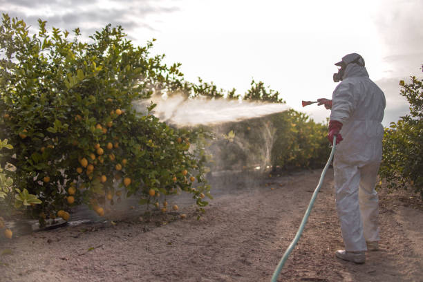 Best Commercial Pest Control Services  in Appleton City, MO