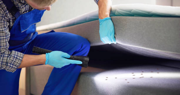 Best Best Pest Control Companies  in Appleton City, MO