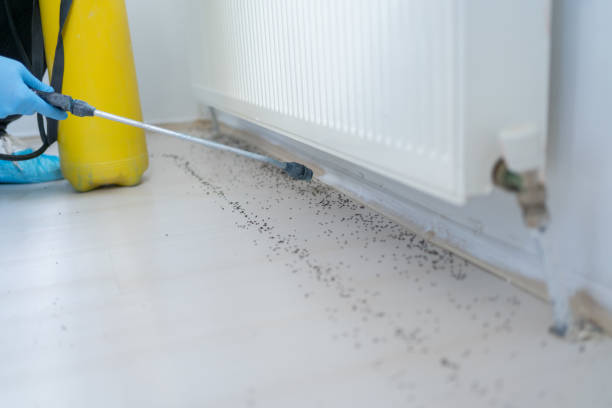 Best Cockroach Control Services  in Appleton City, MO