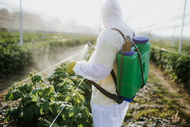 Best Flea Control Services  in Appleton City, MO